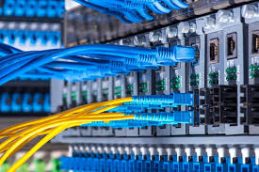 fibra2